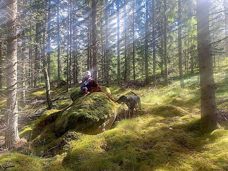 Rangoon uploaded   228  day/s  ago