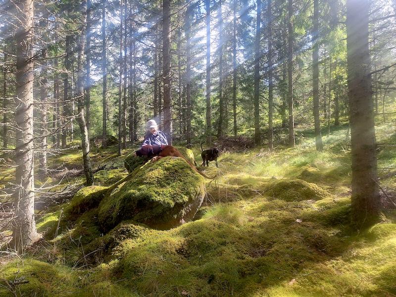 Rangoon uploaded   228  day/s  ago