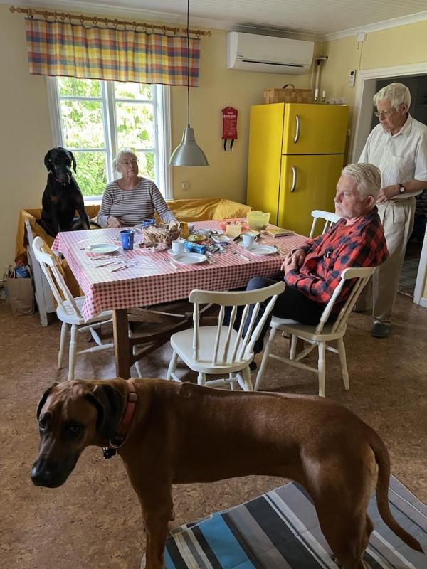 Rangoon uploaded   228  day/s  ago