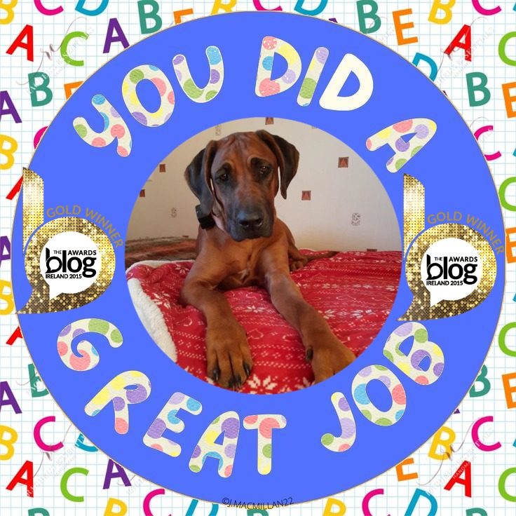 Rangoon uploaded   63  day/s  ago