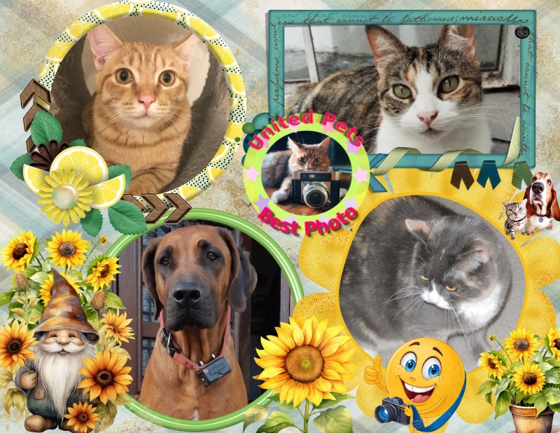 Ułanka of the Rangoon family