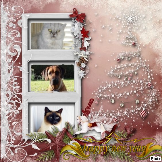 Ułanka of the Rangoon family