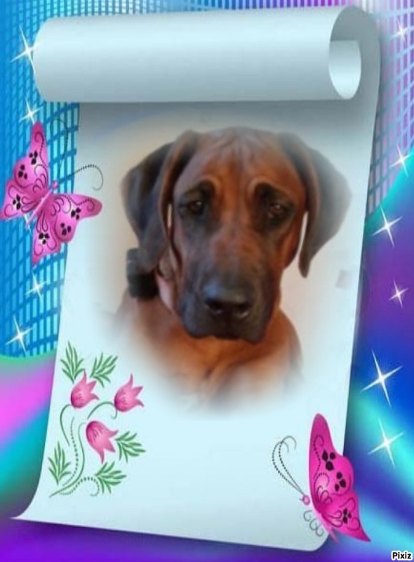 Rangoon uploaded   60  day/s  ago