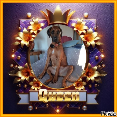 Rangoon uploaded   78  day/s  ago