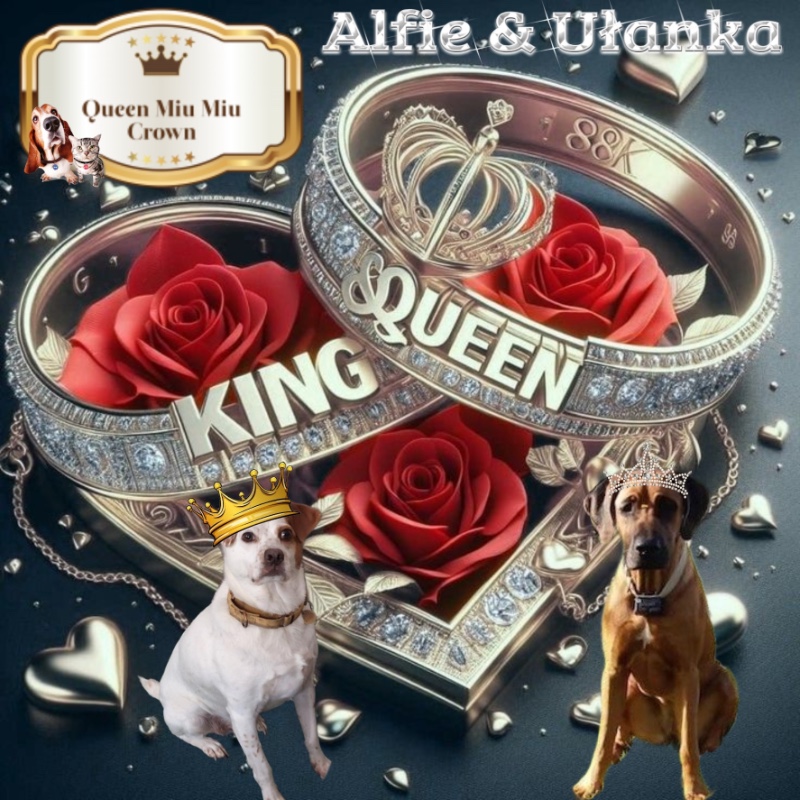 Rangoon uploaded   79  day/s  ago