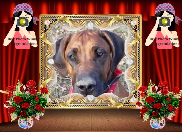 Rangoon uploaded   23  day/s  ago