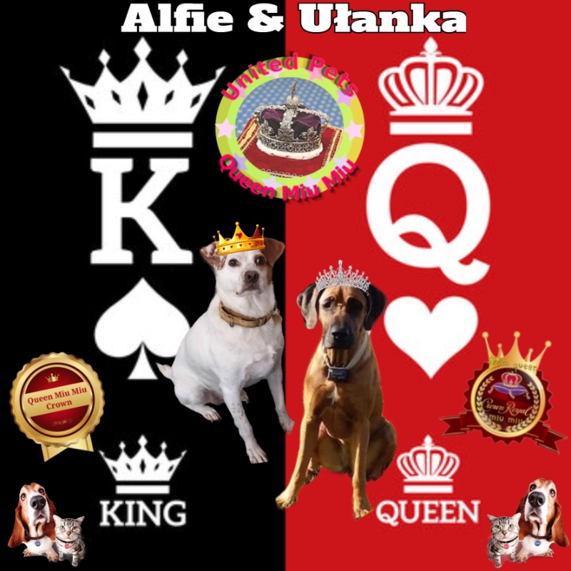 Rangoon uploaded   72  day/s  ago