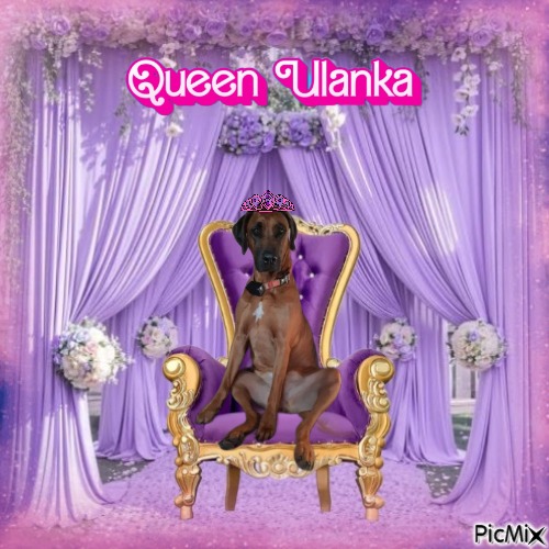 Rangoon uploaded   78  day/s  ago