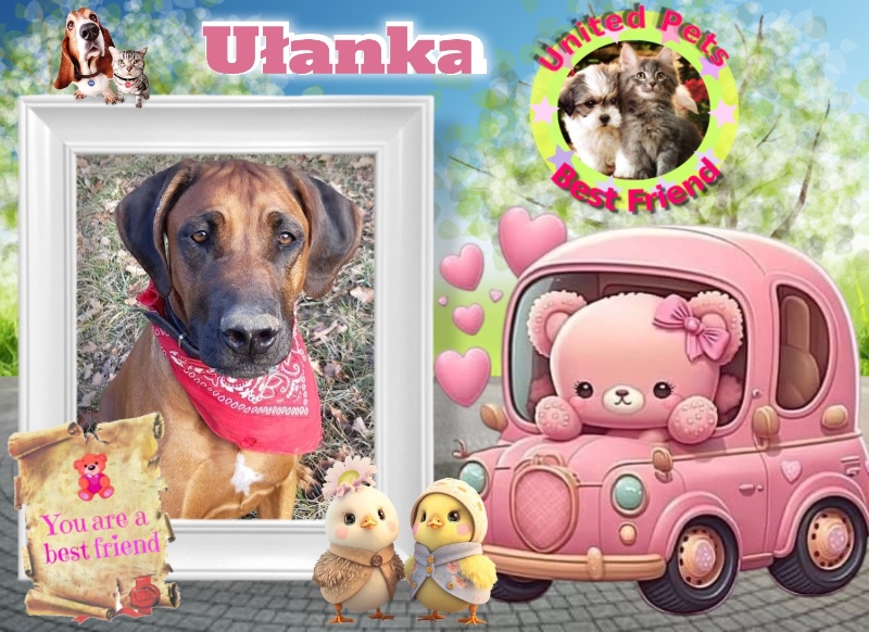 Rangoon uploaded   53  day/s  ago