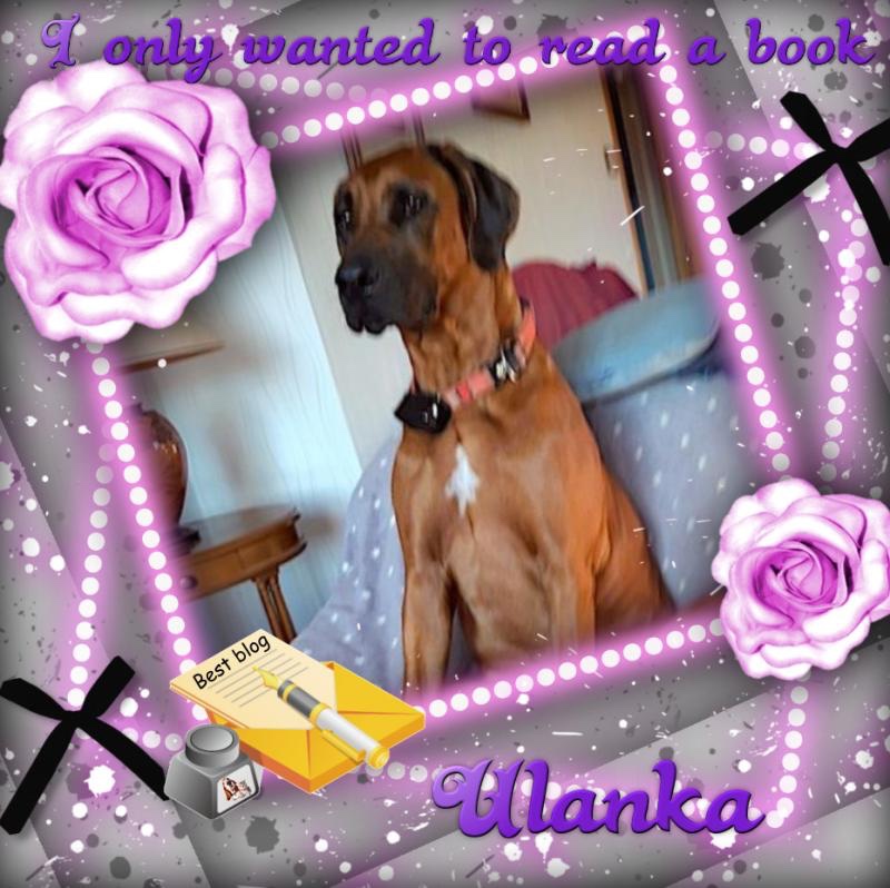 Rangoon uploaded   5 hour/s ago