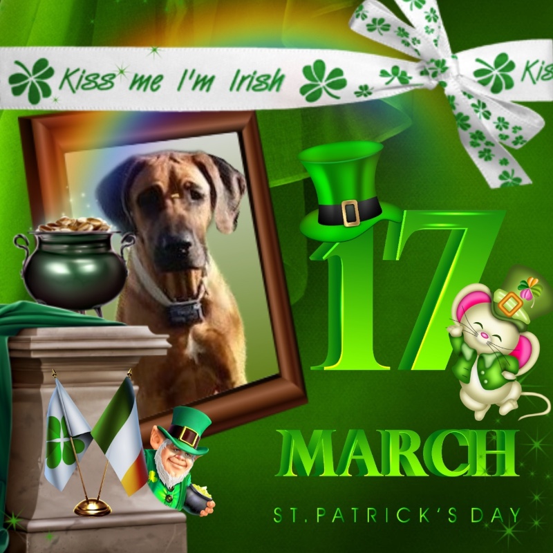 Rangoon uploaded   23  day/s  ago