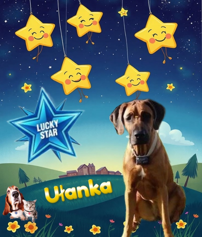 Ułanka of the Rangoon family