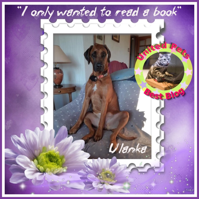 Rangoon uploaded   67  day/s  ago