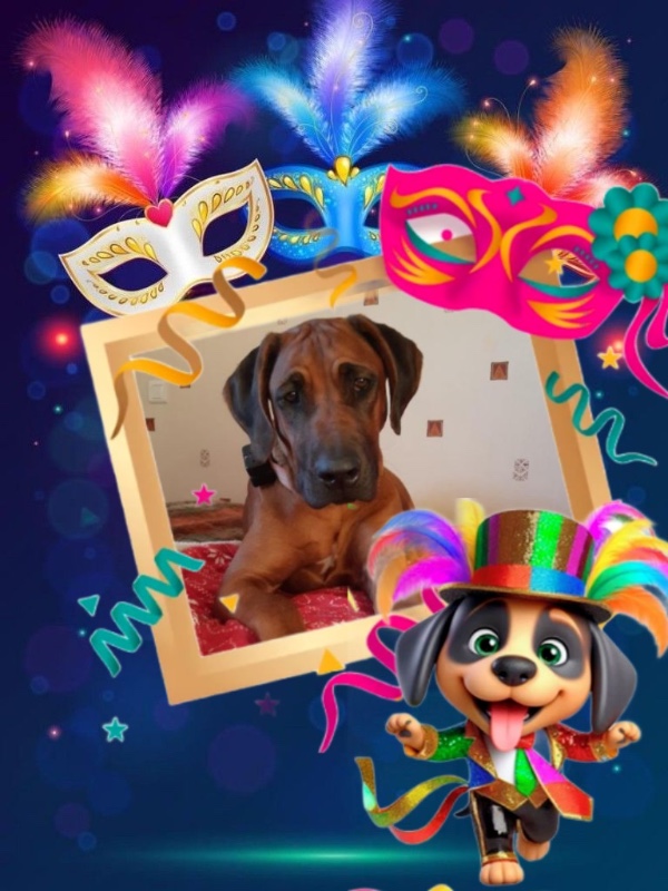 Rangoon uploaded   78  day/s  ago