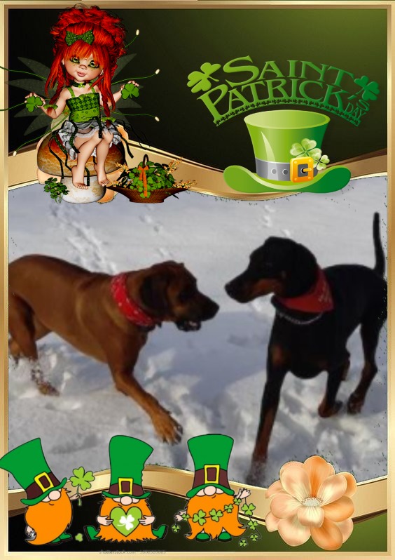 Rangoon uploaded   23  day/s  ago