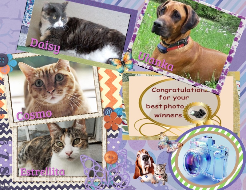 Rangoon uploaded   23  day/s  ago