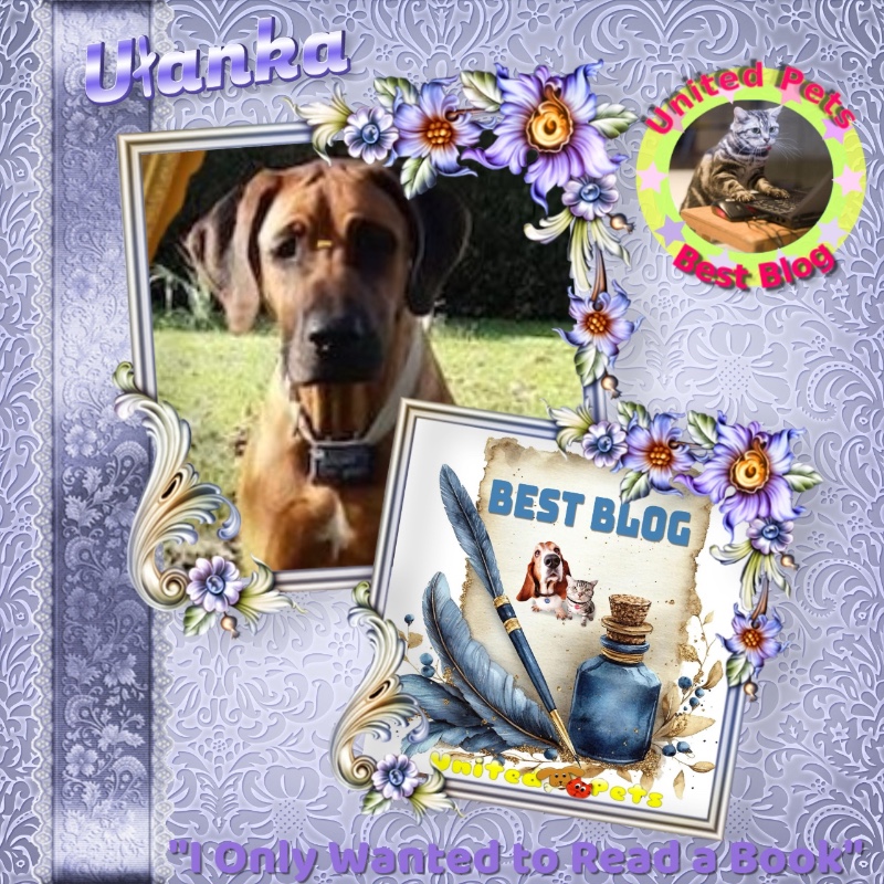 Rangoon uploaded   63  day/s  ago