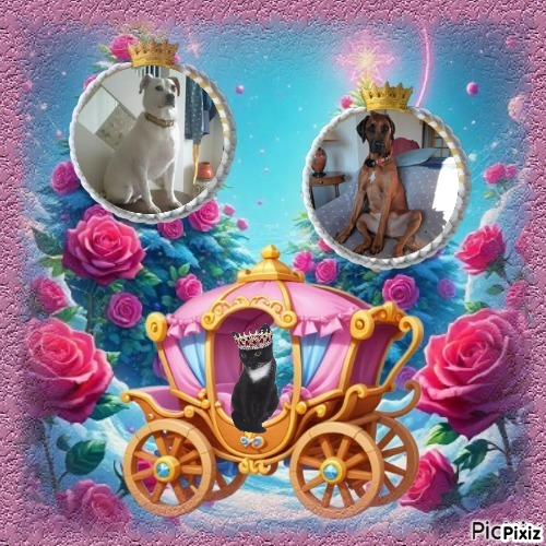 Rangoon uploaded   78  day/s  ago