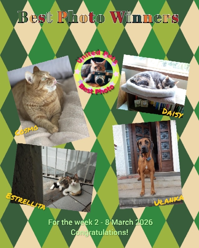 Ułanka of the Rangoon family