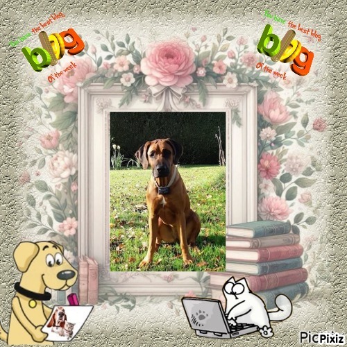 Rangoon uploaded   63  day/s  ago