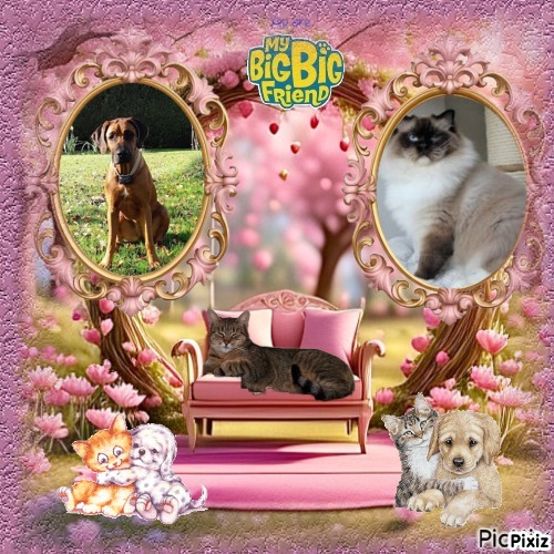 Rangoon uploaded   5 hour/s ago