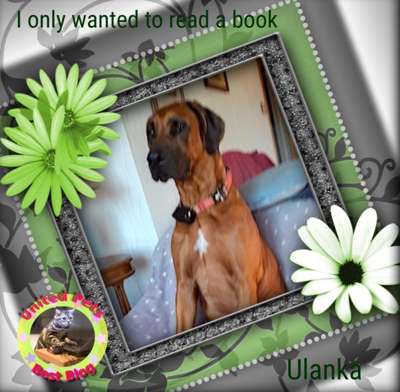 Rangoon uploaded   67  day/s  ago