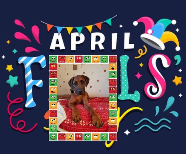 Rangoon uploaded   11  day/s  ago