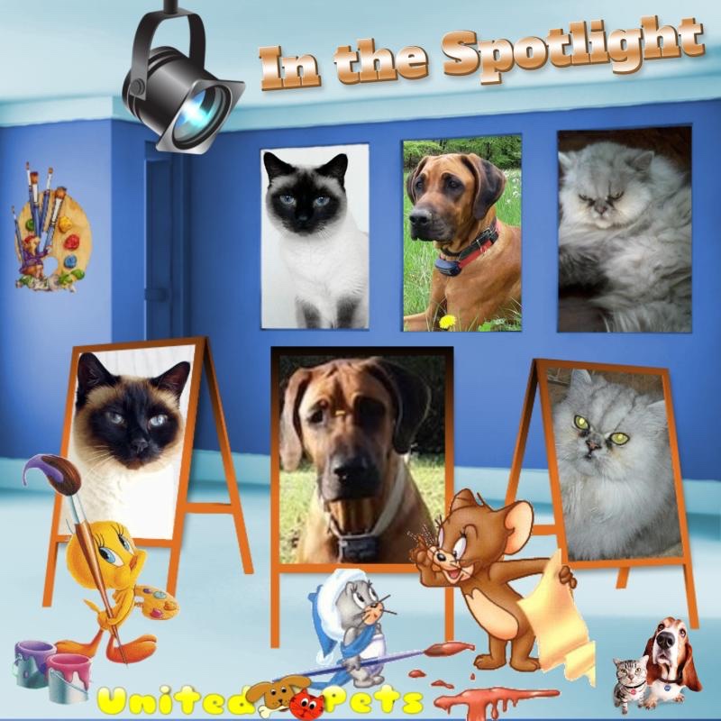 Ułanka of the Rangoon family