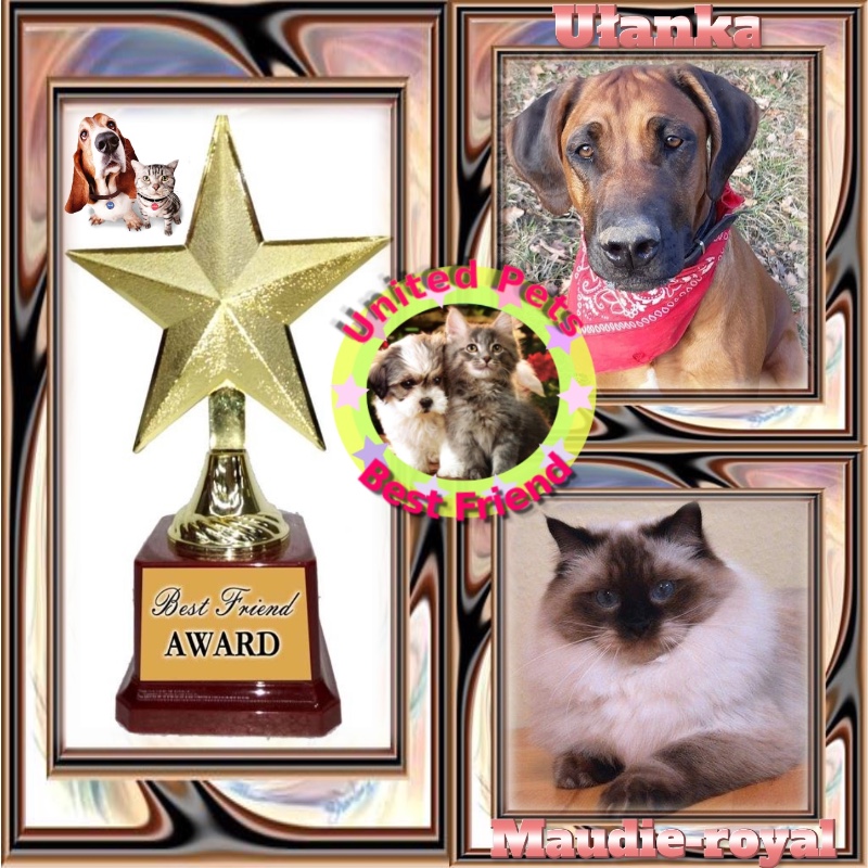 Rangoon uploaded   60  day/s  ago