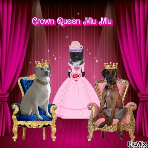 Rangoon uploaded   78  day/s  ago