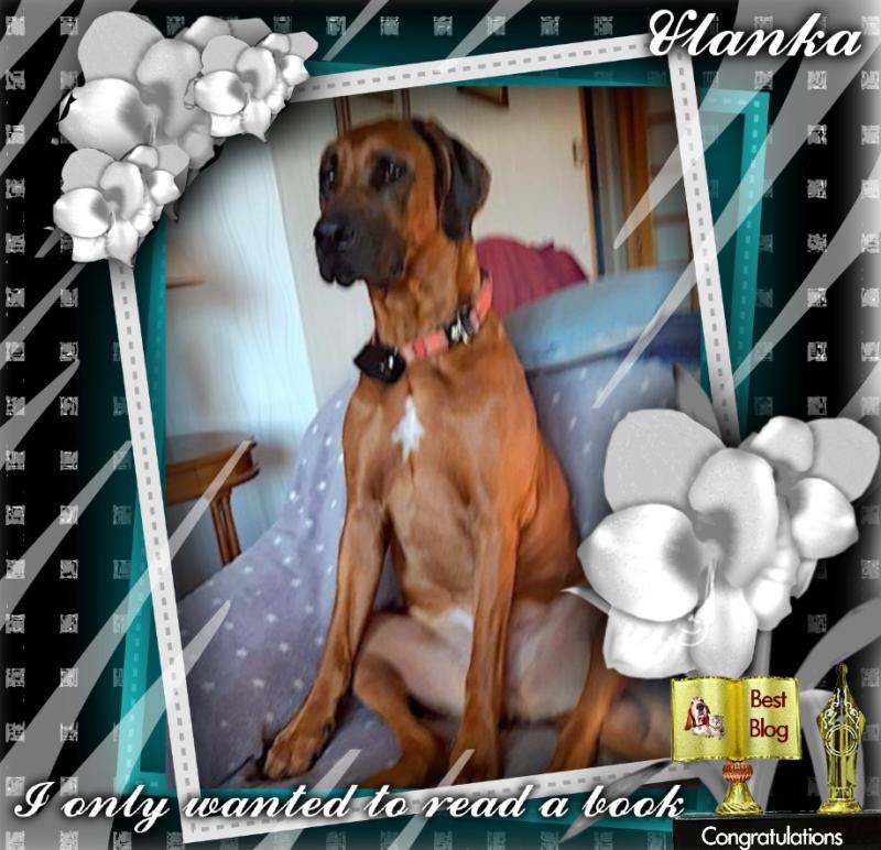 Rangoon uploaded   63  day/s  ago