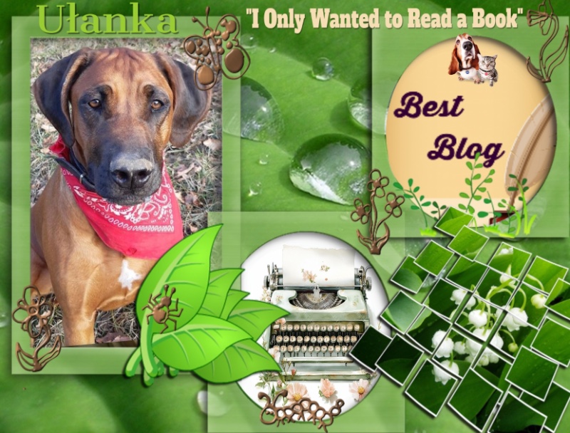 Rangoon uploaded   5 hour/s ago