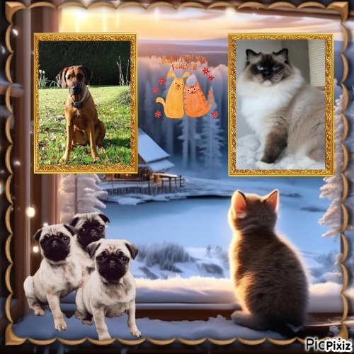 Rangoon uploaded   5 hour/s ago