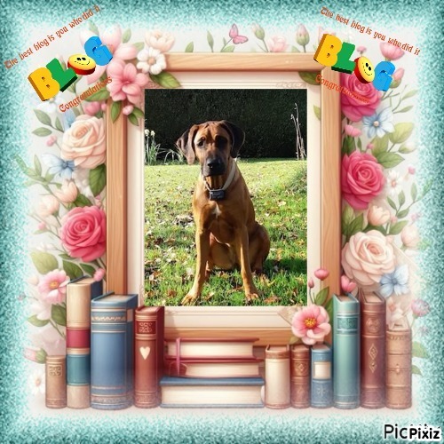 Rangoon uploaded   63  day/s  ago