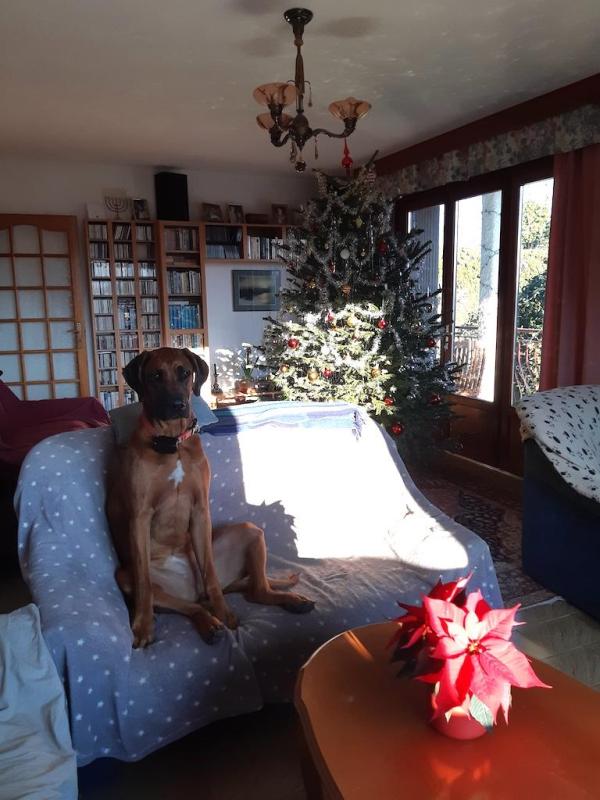 Rangoon uploaded   95  day/s  ago