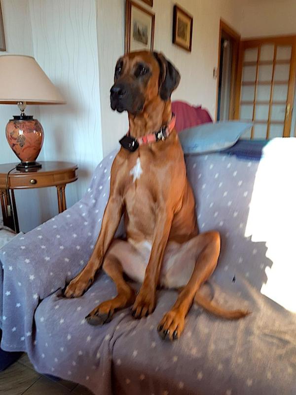 Rangoon uploaded   95  day/s  ago