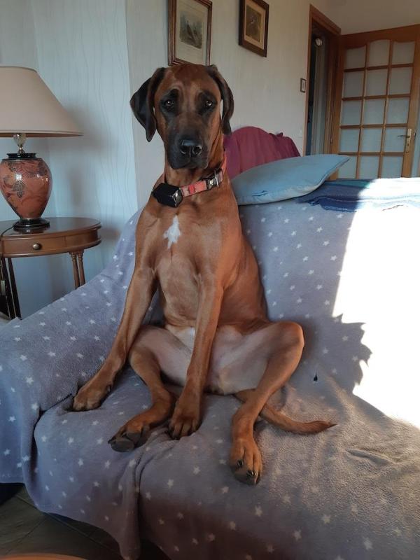 Rangoon uploaded   95  day/s  ago