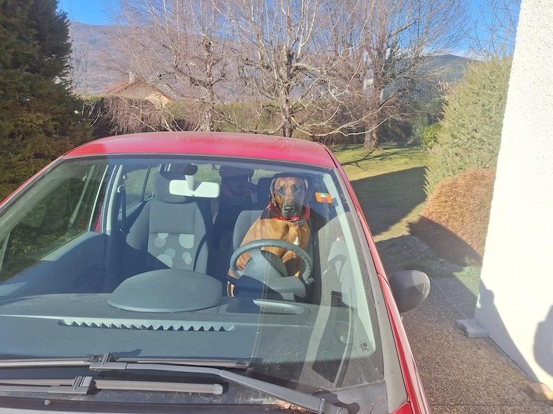 Rangoon uploaded   88  day/s  ago