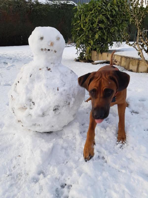 Rangoon uploaded   69  day/s  ago