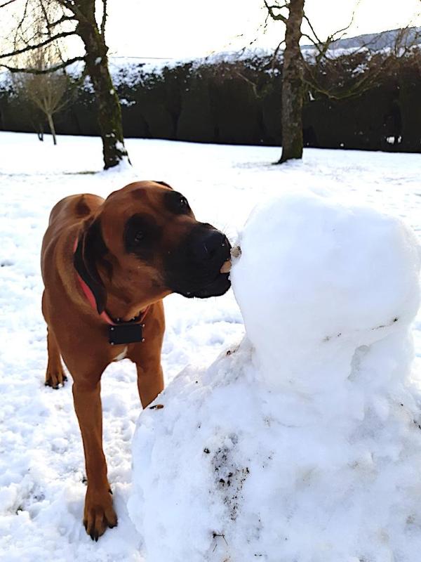 Rangoon uploaded   69  day/s  ago