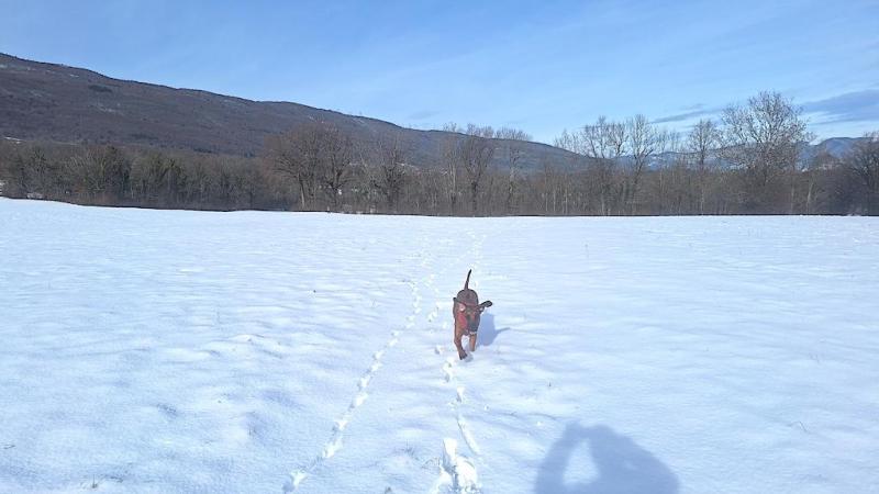 Rangoon uploaded   54  day/s  ago