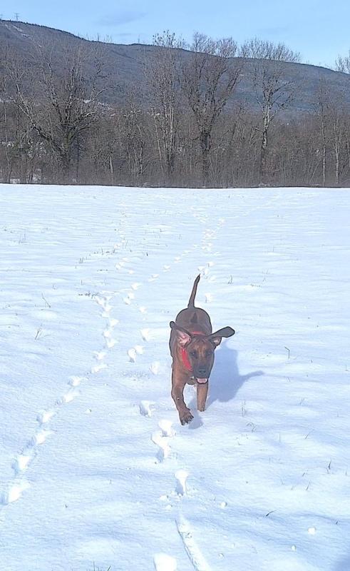 Rangoon uploaded   54  day/s  ago