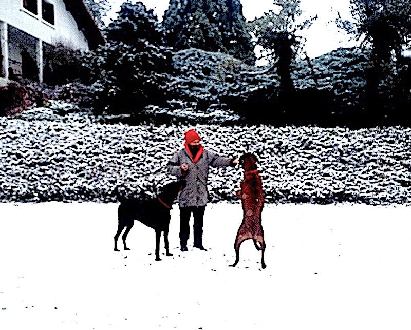 Rangoon uploaded   73  day/s  ago