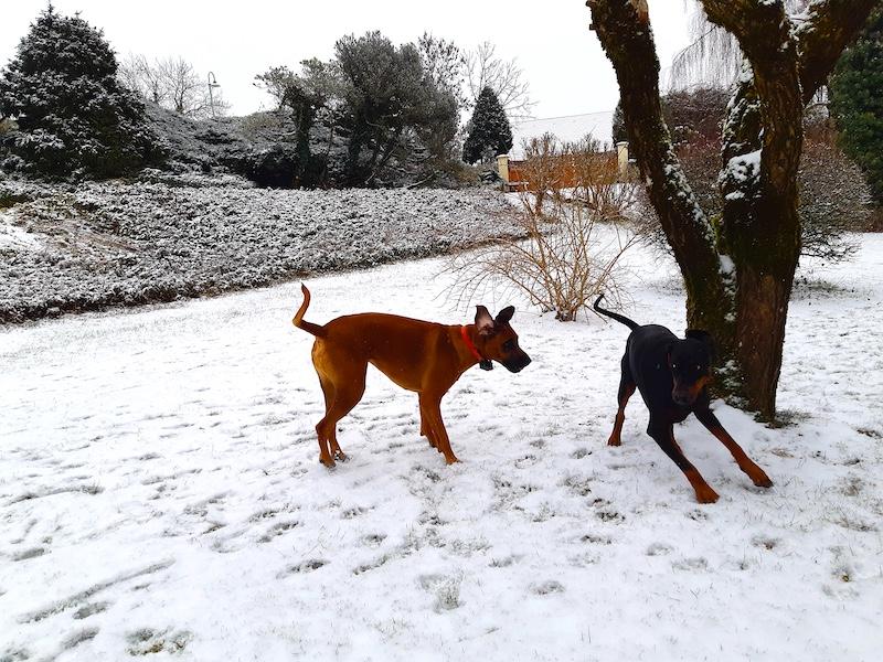 Rangoon uploaded   73  day/s  ago