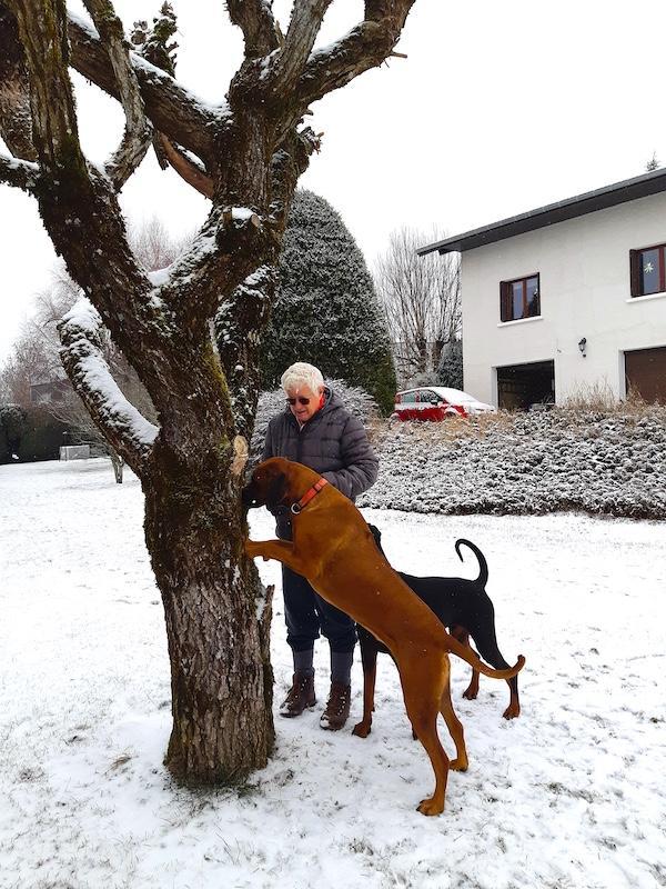 Rangoon uploaded   73  day/s  ago