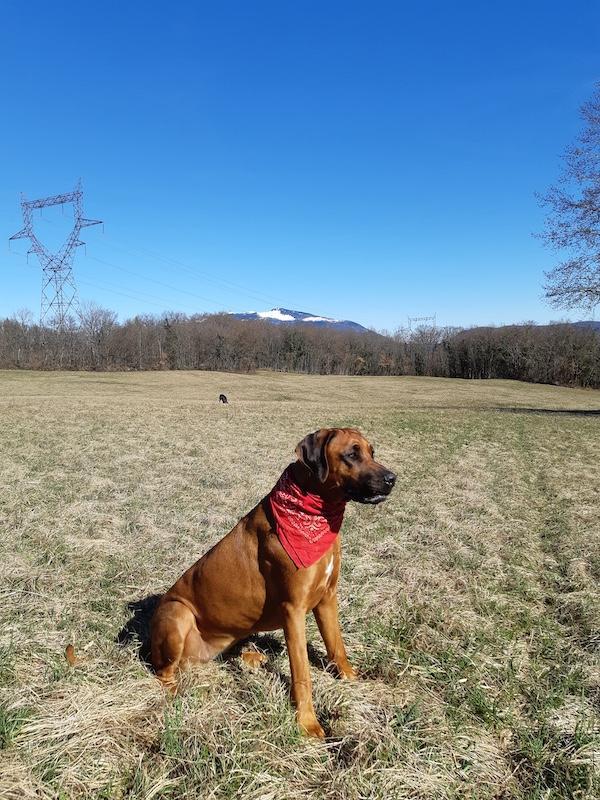 Rangoon uploaded   28  day/s  ago