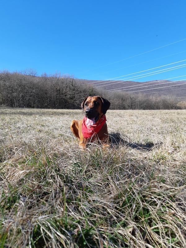 Rangoon uploaded   28  day/s  ago