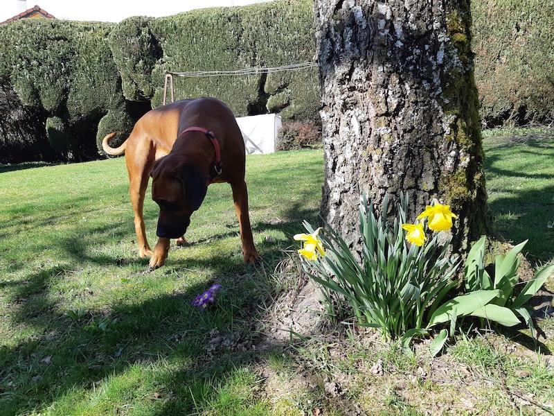 Rangoon uploaded   28  day/s  ago