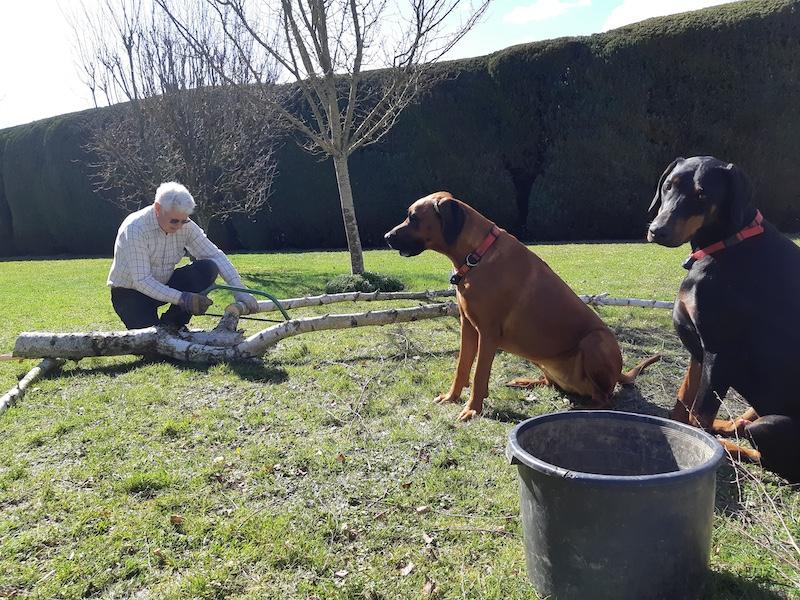 Rangoon uploaded   17  day/s  ago