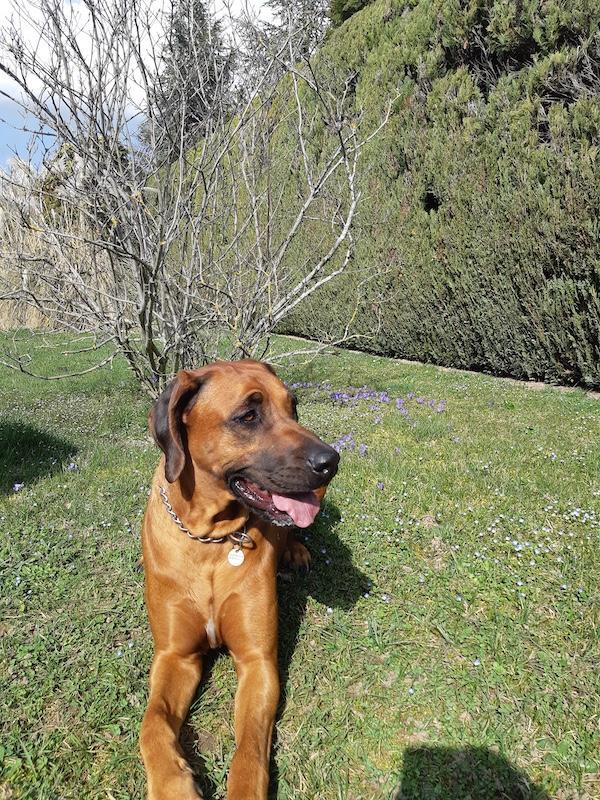 Rangoon uploaded   17  day/s  ago